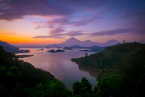 39146716732_f0dddee905_o