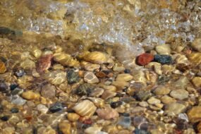 52025278736_411dc6f4c5_o