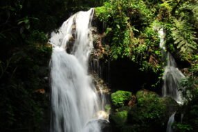 6668037571_6f845896b1_o